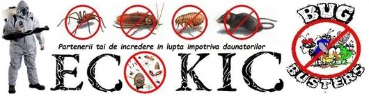 Deratizare - dezinsectie - dezinfectie Bucuresti