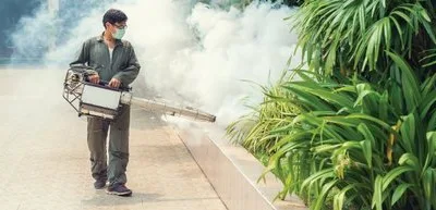 Deratizare - dezinsectie - dezinfectie Bucuresti