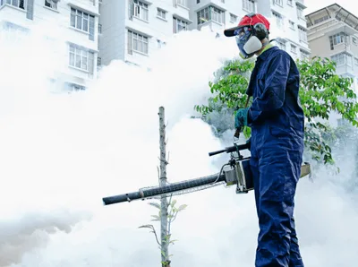 Deratizare - dezinsectie - dezinfectie Bucuresti