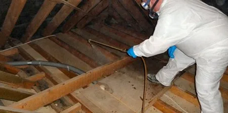 Ignifugare si tratare insecto -fungicida - Bucuresti