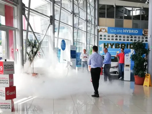 Ignifugare si tratare insecto -fungicida - Bucuresti