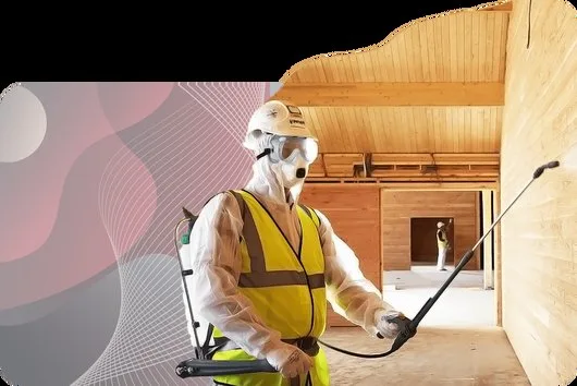 Ignifugare si tratare insecto -fungicida - Bucuresti