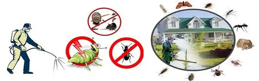 Coserit - ignifugare si deratizare - dezinsectie - dezinfectie - Caras Severin