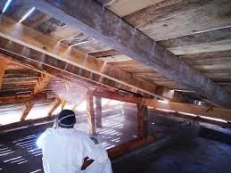 Coserit - ignifugare si deratizare - dezinsectie - dezinfectie - Caras Severin