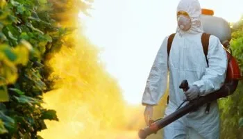 Servicii ignifugare - termoprotectie si produse PSI Bucuresti