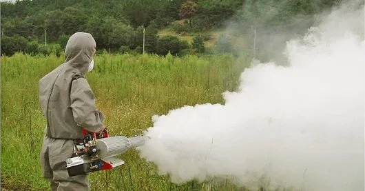 Ignifugare - PSI - deratizare - dezinsectie - dezinfectie - Bucuresti