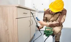 Ignifugare - PSI - deratizare - dezinsectie - dezinfectie - Bucuresti