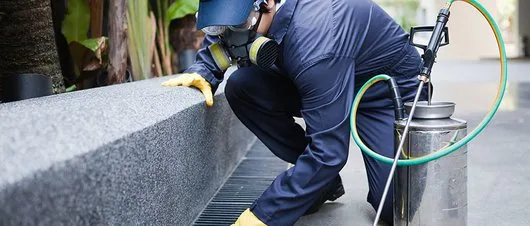 Ignifugare - PSI - deratizare - dezinsectie - dezinfectie - Bucuresti