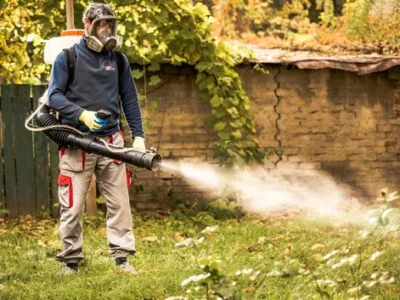 Ignifugari si Servicii deratizare - dezinsectie - dezinfectie - Bucuresti