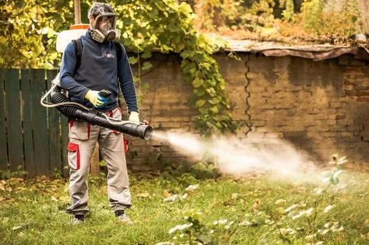 Ignifugari si Servicii deratizare - dezinsectie - dezinfectie - Bucuresti