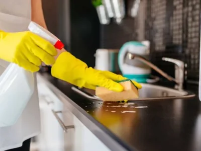 Ignifugari si Servicii deratizare - dezinsectie - dezinfectie - Bucuresti