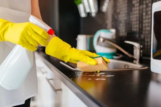 Ignifugari si Servicii deratizare - dezinsectie - dezinfectie - Bucuresti