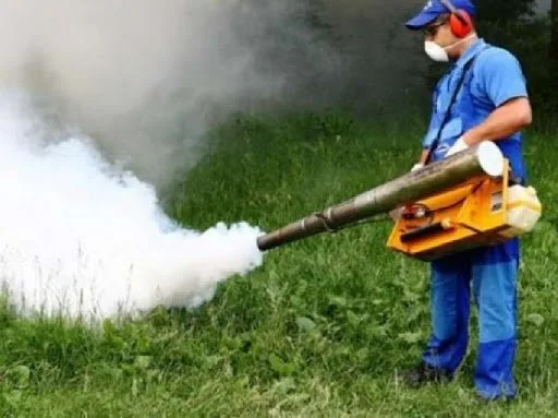 Ignifugari si Servicii deratizare - dezinsectie - dezinfectie - Bucuresti