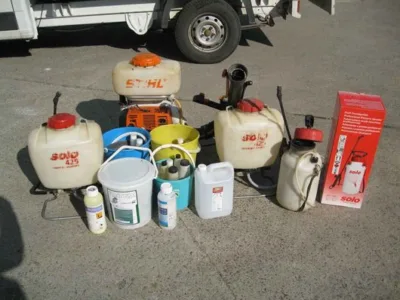 Dezinsectie - dezinfectie - deratizare - Oradea