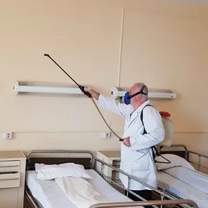 Dezinsectie - dezinfectie - deratizare - Oradea