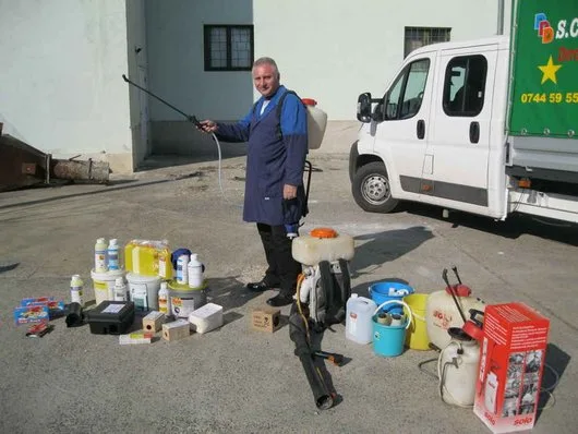 Dezinsectie - dezinfectie - deratizare - Oradea