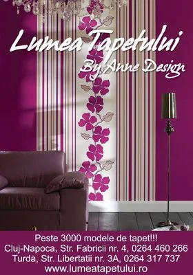 Lumea tapetului - Cluj Napoca