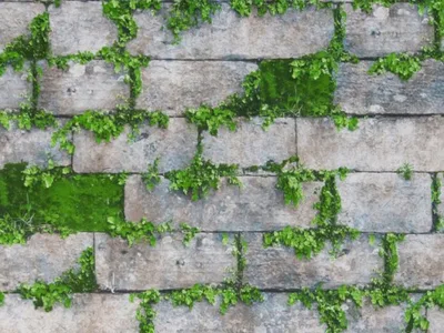 Comercializare colectii tapet si accesorii - Oradea