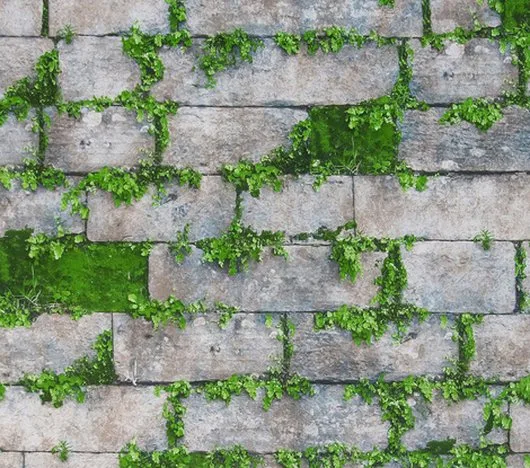 Comercializare colectii tapet si accesorii - Oradea