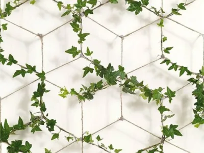 Comercializare colectii tapet si accesorii - Oradea