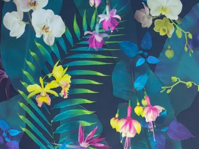 Comercializare colectii tapet si accesorii - Oradea