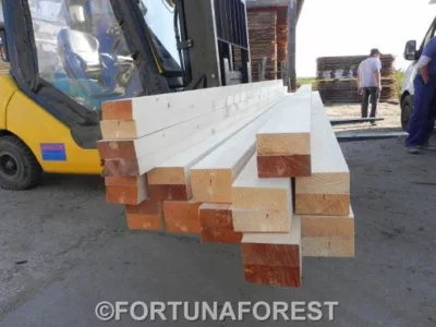 Producator de cherestea rasinoase - lambriuri - podele - ferestre si usi - Covasna