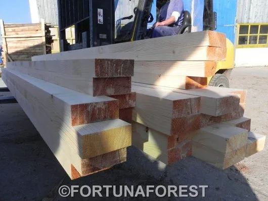 Producator de cherestea rasinoase - lambriuri - podele - ferestre si usi - Covasna