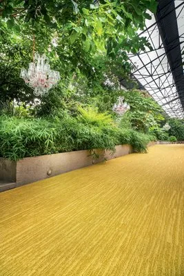 Comercializare si montaj mocheta - Bucuresti