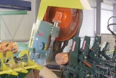 Comercializare de cherestea si produse pe baza de lemn - Sacele / Brasov