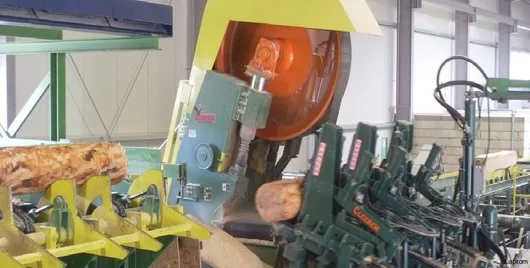 Comercializare de cherestea si produse pe baza de lemn - Sacele / Brasov