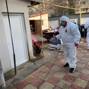 Dezinfectie - deratizare Bucuresti