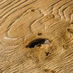 Comercializare si montare parchet lemn masiv - Cluj Napoca