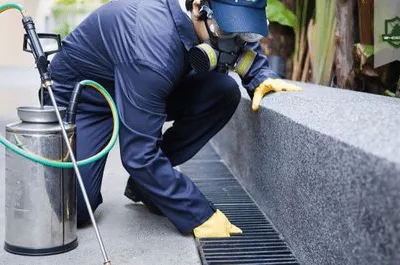 Deratizare - Dezinfectie - Dezinsectie - Bucuresti