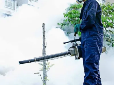 Deratizare - Dezinfectie - Dezinsectie - Bucuresti