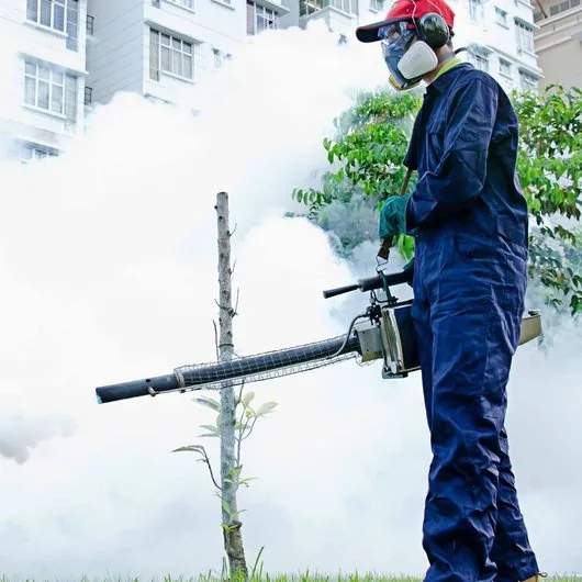 Deratizare - Dezinfectie - Dezinsectie - Bucuresti