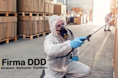Deratizare - Dezinfectie - Dezinsectie - Bucuresti