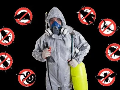 Deratizare - Dezinfectie - Dezinsectie - Bucuresti