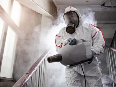 Deratizare - Dezinfectie - Dezinsectie - Bucuresti