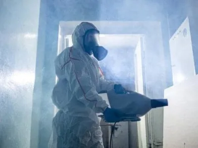 Deratizare - Dezinfectie - Dezinsectie - Bucuresti