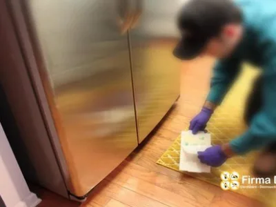 Deratizare - Dezinfectie - Dezinsectie - Bucuresti