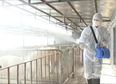 Dezinsectie - deratizare si dezinfectie - Bucuresti si Ilfov