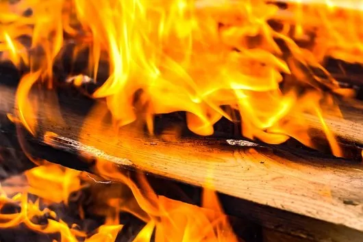 Dezinsectie - deratizare si dezinfectie - Bucuresti si Ilfov