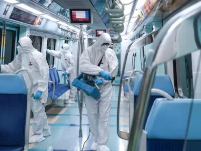 Dezinsectie - deratizare - dezinfectie Non Stop - Bucuresti