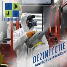 Dezinsectie - deratizare - dezinfectie Non Stop - Bucuresti