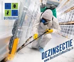 Dezinsectie - deratizare - dezinfectie Non Stop - Bucuresti