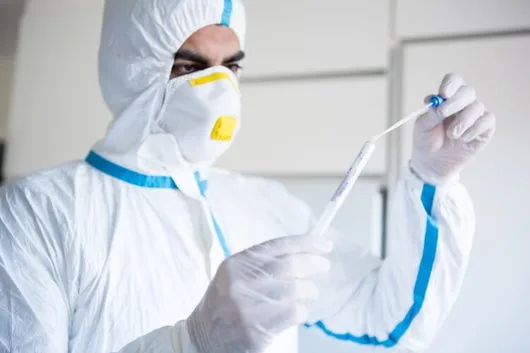 Dezinfectie Nebulizare - dezinfectie COVID -19 si dezinsectie - Bucuresti