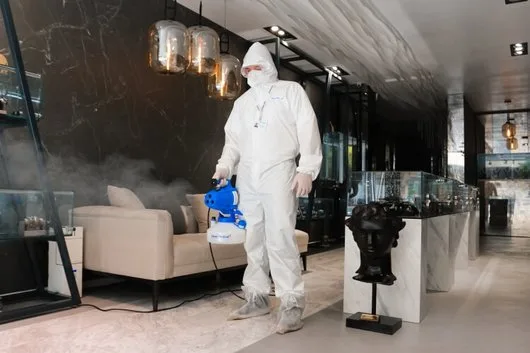 Dezinfectie Nebulizare - dezinfectie COVID -19 si dezinsectie - Bucuresti