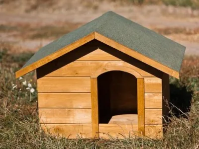 Producator de ferestre - usi - scari si obloane din lemn masiv stratificat - Cluj