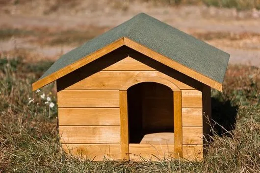 Producator de ferestre - usi - scari si obloane din lemn masiv stratificat - Cluj