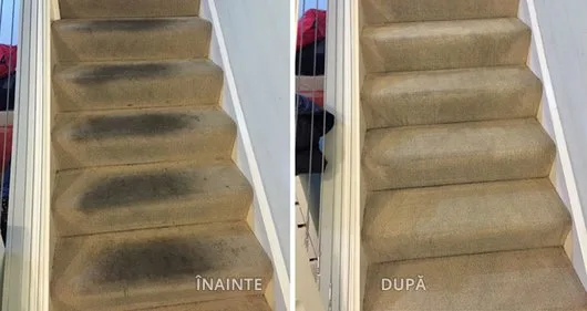 Servicii de curatare covoare - canapele si saltele la domiciliul clientului - Bucuresti